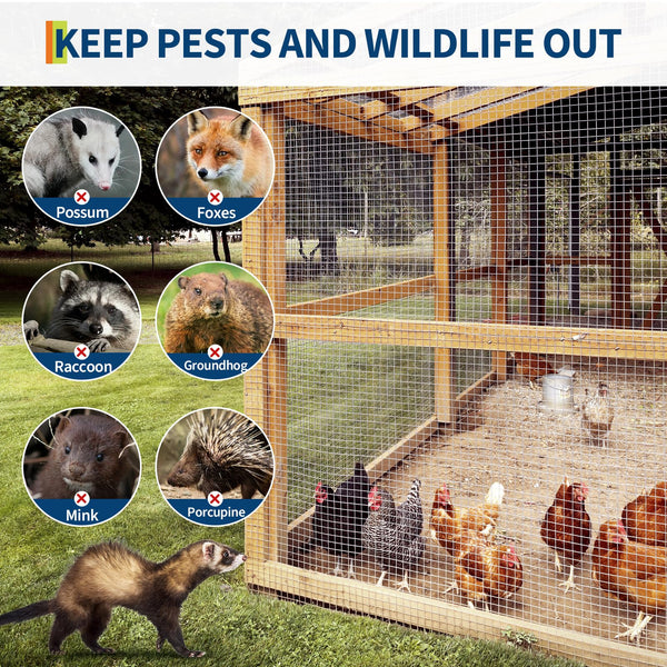 Accesorio esencial para gallineros